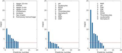 Assessment of intraventricular hemorrhage risk in preterm infants using mathematically simulated cerebral blood flow